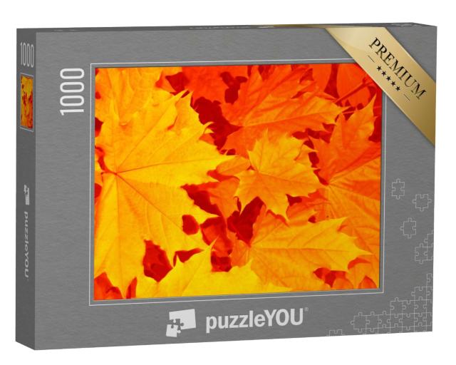 Puzzle de 1000 pièces « Feuilles d'automne dans l'été indien »