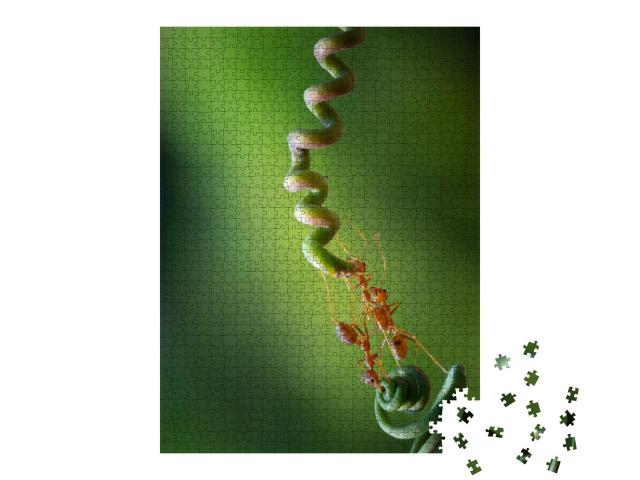 Puzzle de 1000 pièces « Les fourmis se procurent de la nourriture en équipe »