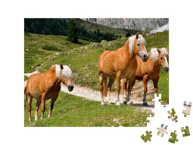Puzzle de 200 pièces « Trois chevaux Haflinger sur un alpage dans le Tyrol du Sud, Italie »