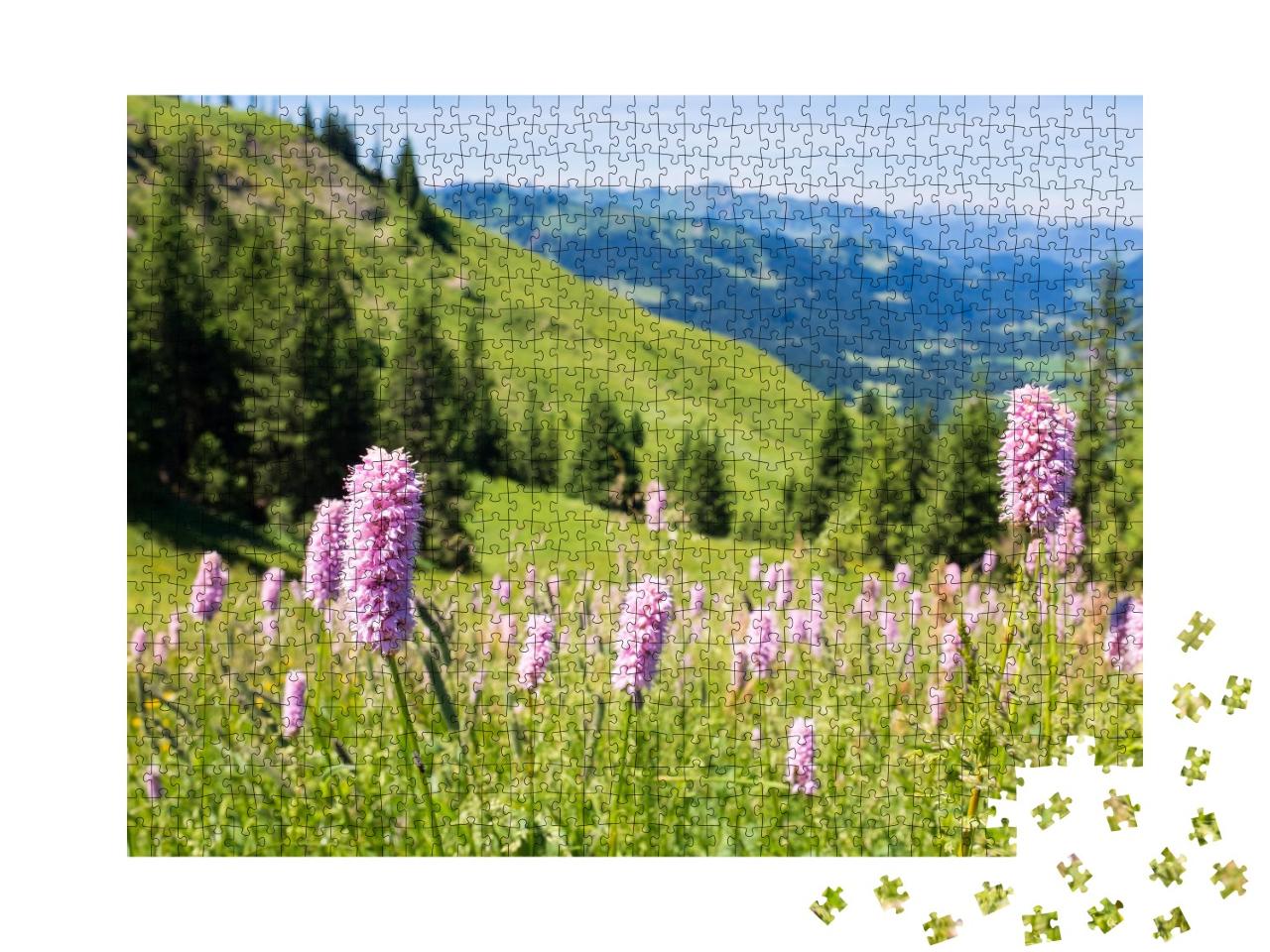 Puzzle de 1000 pièces « Alpes bavaroises avec vue sur les montagnes et les prairies de l'Allgäu »