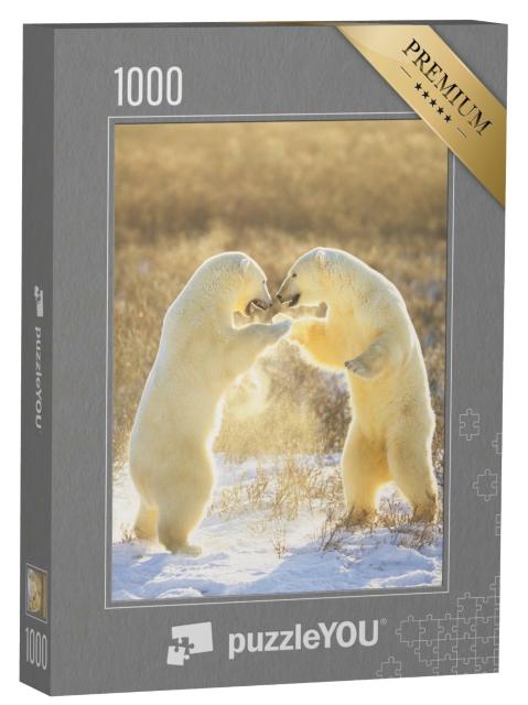 Puzzle de 1000 pièces « Ours polaires du Canada »