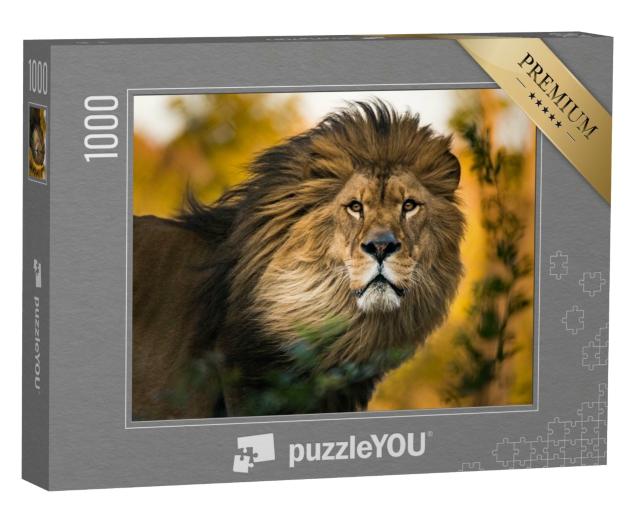 Puzzle de 1000 pièces « Le roi lion : portrait »