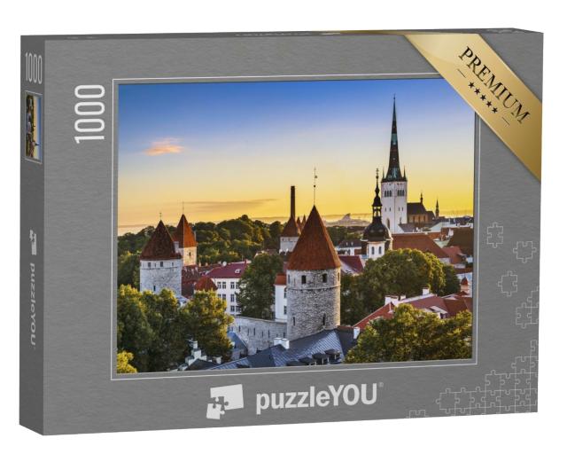 Puzzle de 1000 pièces « Vue sur la vieille ville de Tallinn, Estonie »