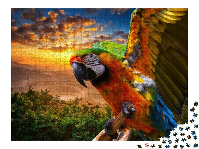 Puzzle de 2000 pièces « Splendides couleurs de la nature : Ara au coucher du soleil »
