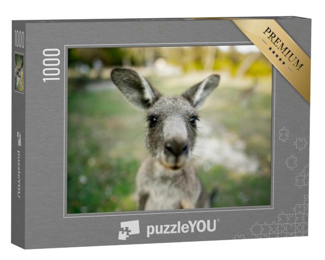 Puzzle de 1000 pièces « Gros plan sur un kangourou »