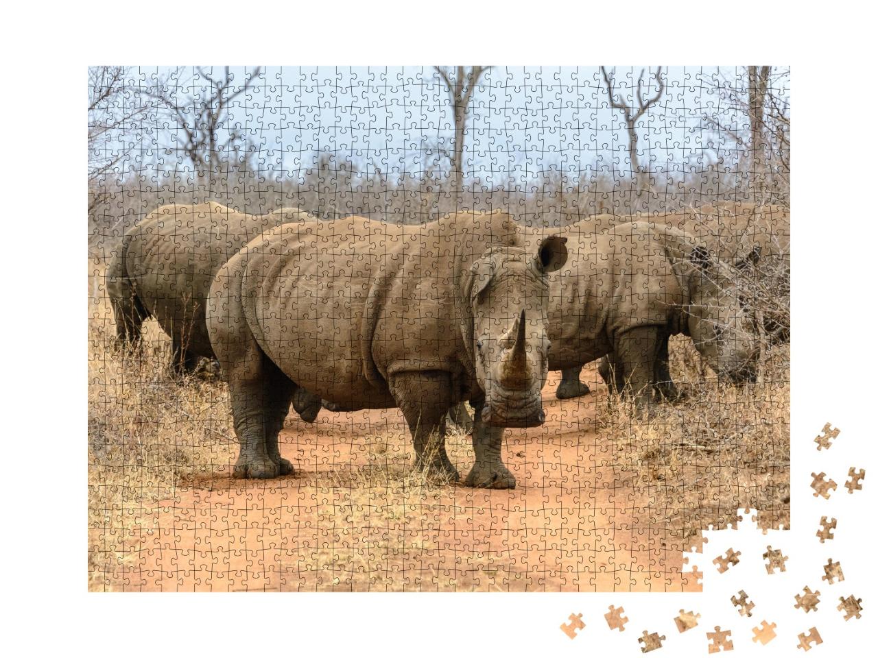 Puzzle de 1000 pièces « Un troupeau de rhinocéros blancs dans le parc national de Hlane Royal, Swaziland »