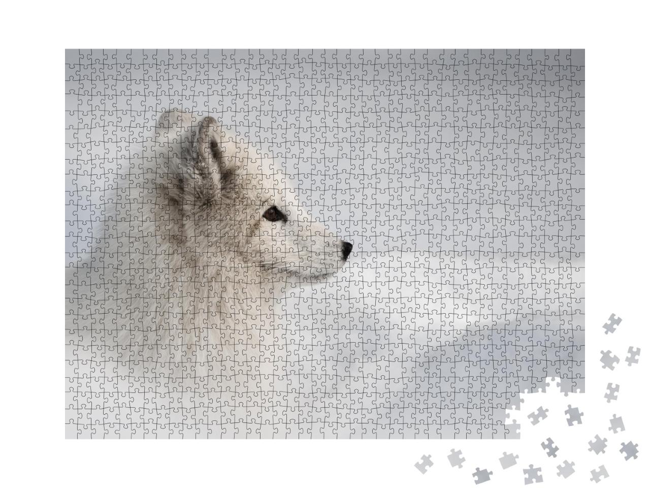 Puzzle de 1000 pièces « Une femelle renard arctique s'aventure hors de sa grotte de neige »