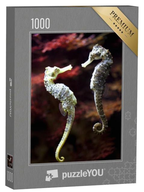 Puzzle de 1000 pièces « Couple d'hippocampes à long museau amoureux »