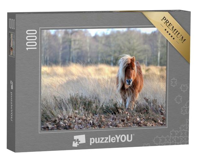 Puzzle de 1000 pièces « Magnifique poney »