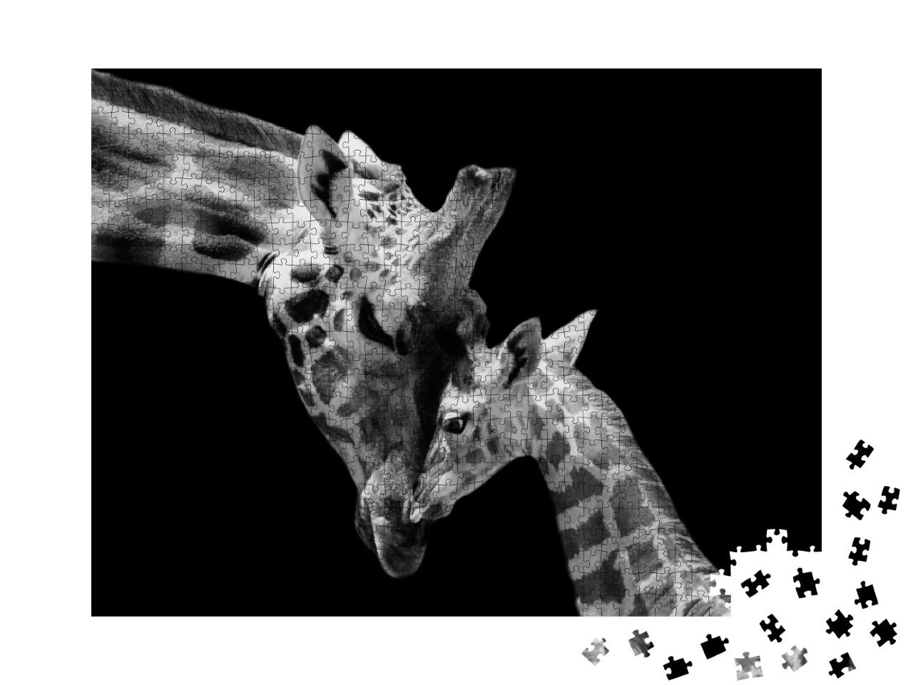 Puzzle de 1000 pièces « Mère girafe et son petit »
