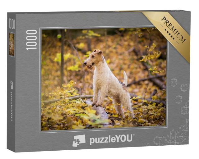Puzzle de 1000 pièces « Fox-terrier à poil dur Automne »
