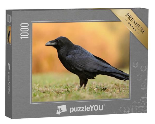 Puzzle de 1000 pièces « Le grand corbeau de la famille des passereaux »