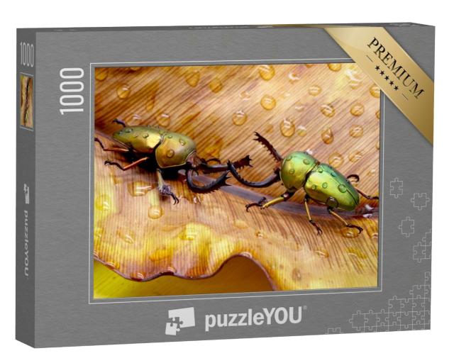 Puzzle de 1000 pièces « Deux scarabées à dents de scie en train de se battre, Papouasie-Nouvelle-Guinée »
