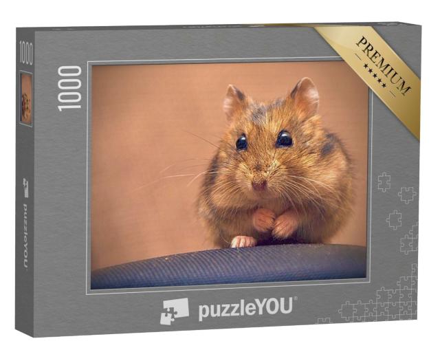 Puzzle de 1000 pièces « Adorable hamster brun »