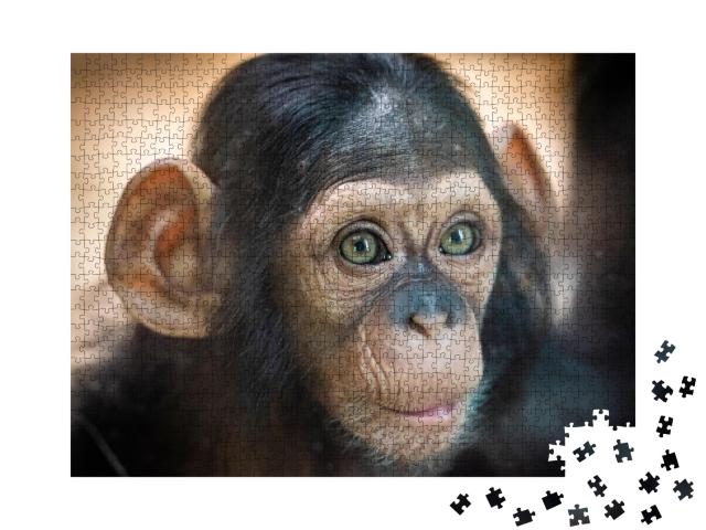 Puzzle de 1000 pièces « Portrait d'un bébé chimpanzé à Pilsen, République tchèque »