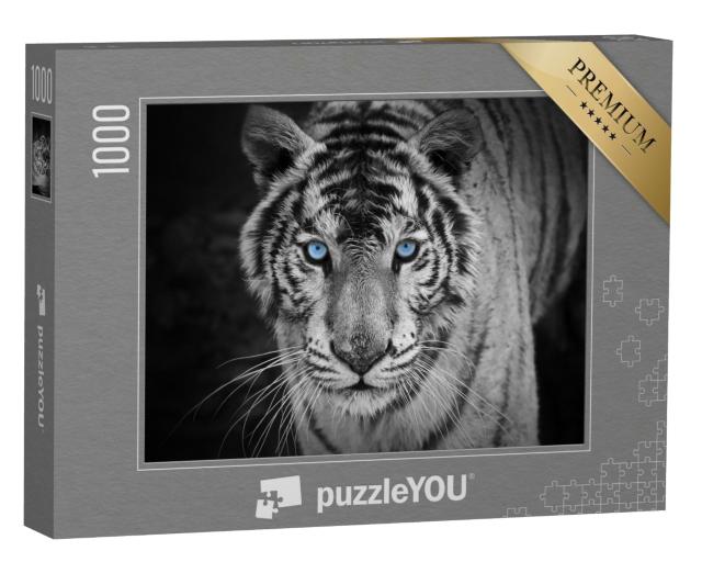 Puzzle de 1000 pièces « Portrait d'un tigre blanc aux yeux bleus perçants »