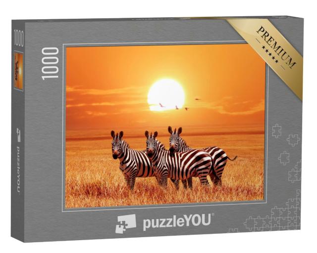 Puzzle de 1000 pièces « Zèbres au coucher du soleil, parc national du Serengeti »