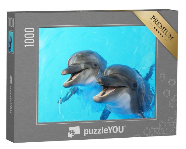 Puzzle de 1000 pièces « Deux dauphins nagent dans la piscine »