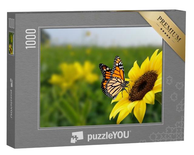 Puzzle de 1000 pièces « Papillon monarque sur un tournesol »