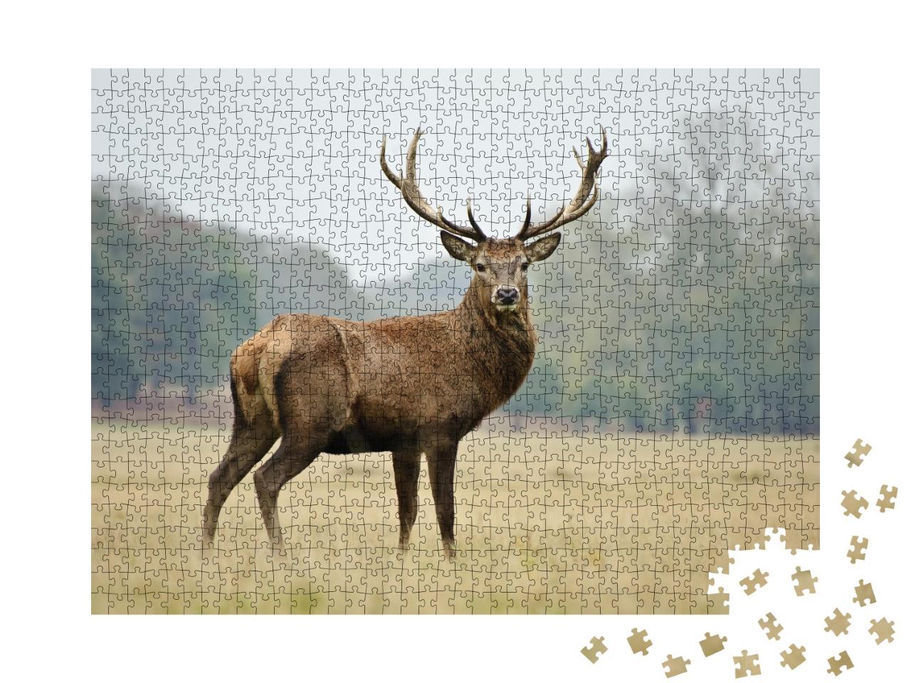 Puzzle de 1000 pièces « Portrait d'un fier cerf rouge dans une forêt automnale »