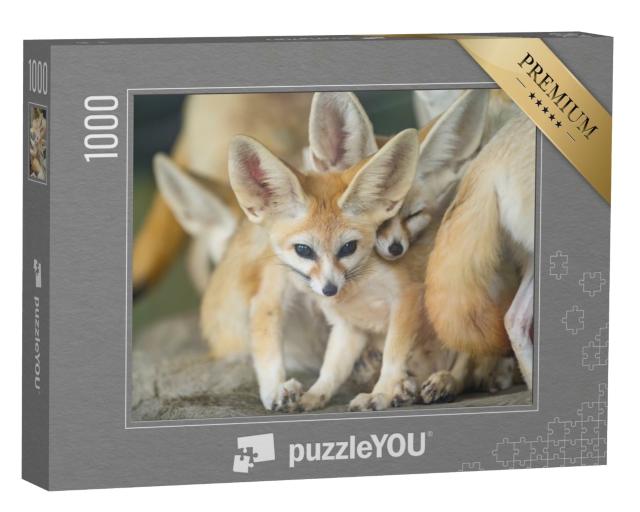 Puzzle de 1000 pièces « Un groupe de renards fennecs »