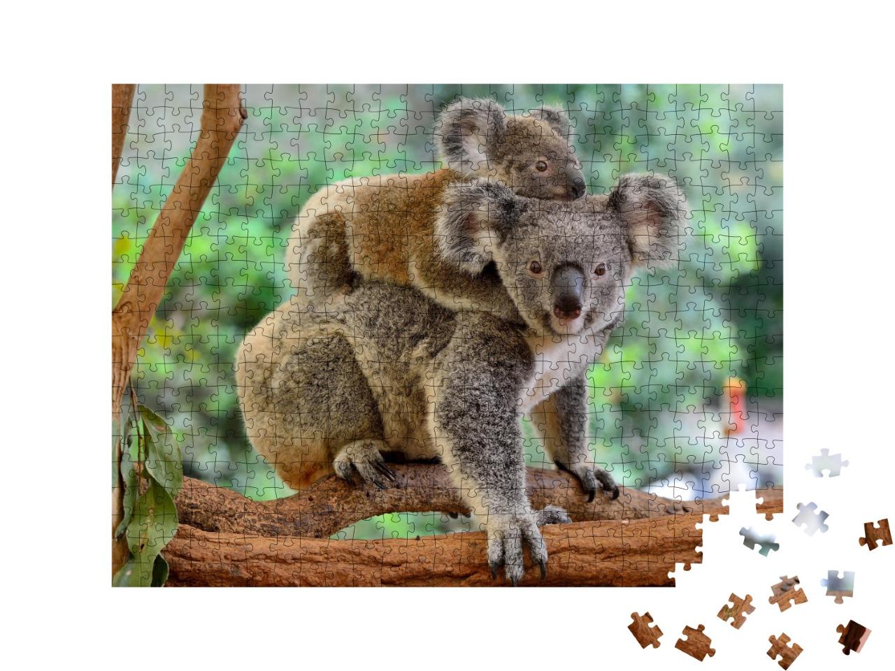 Puzzle de 500 pièces « Mère koala avec bébé sur le dos sur un eucalyptus »
