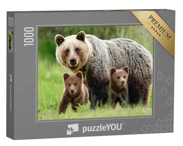 Puzzle de 1000 pièces « Une femelle ours brun avec deux oursons »