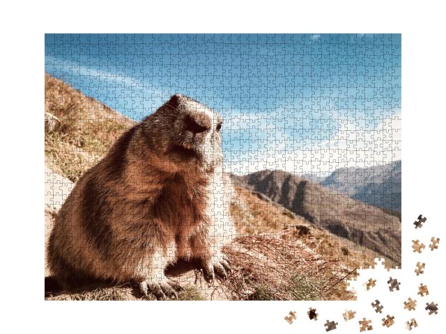 Puzzle de 1000 pièces « Marmotte au regard interrogateur »