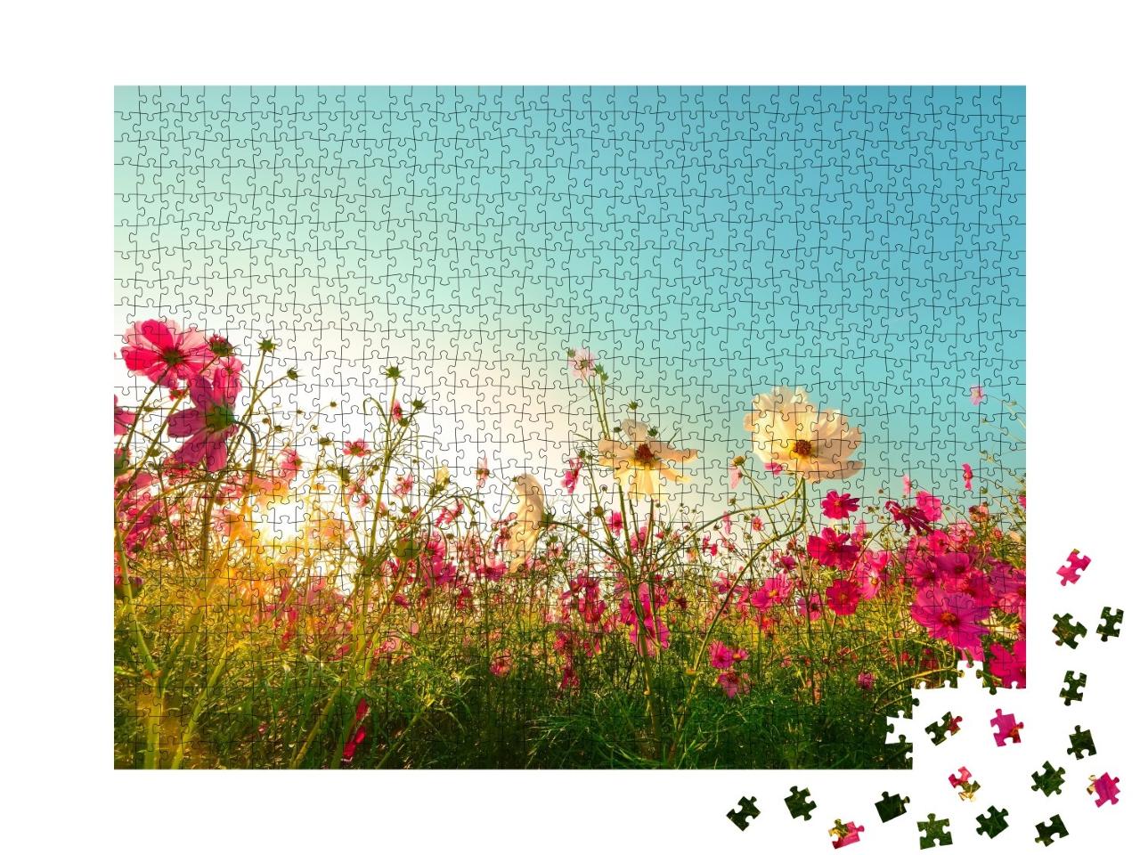 Puzzle de 1000 pièces « De belles cosmos fleurissent dans le jardin »