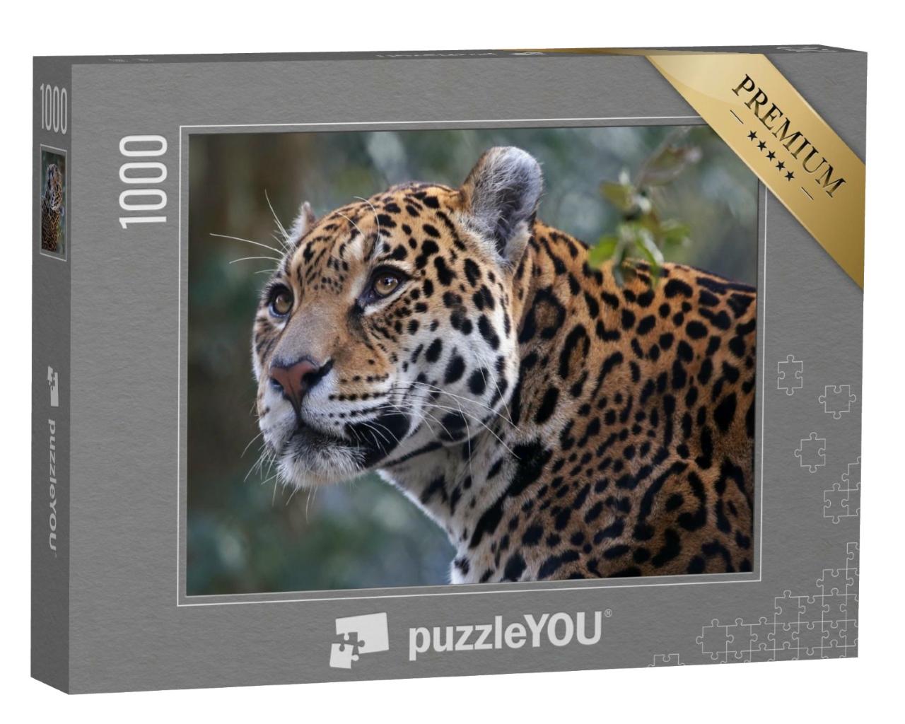 Puzzle de 1000 pièces « Jaguar »