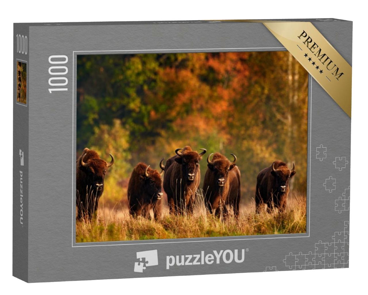 Puzzle de 1000 pièces « Forêt d'automne avec troupeau de prairies en Pologne »