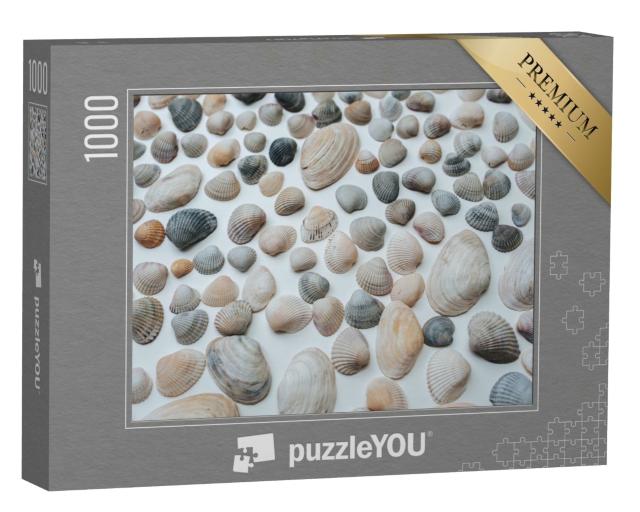 Puzzle de 1000 pièces « Beaucoup de beaux coquillages »