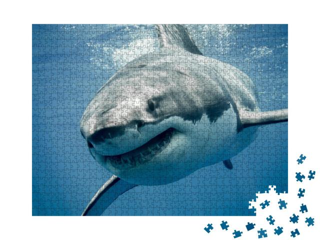 Puzzle de 1000 pièces « Requin blanc »