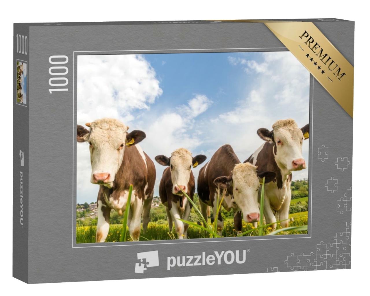 Puzzle de 1000 pièces « Quatre jeunes vaches dans un pâturage en Angleterre »
