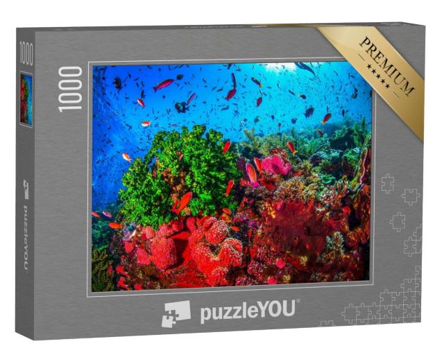 Puzzle de 1000 pièces « Paysage corallien sous-marin »