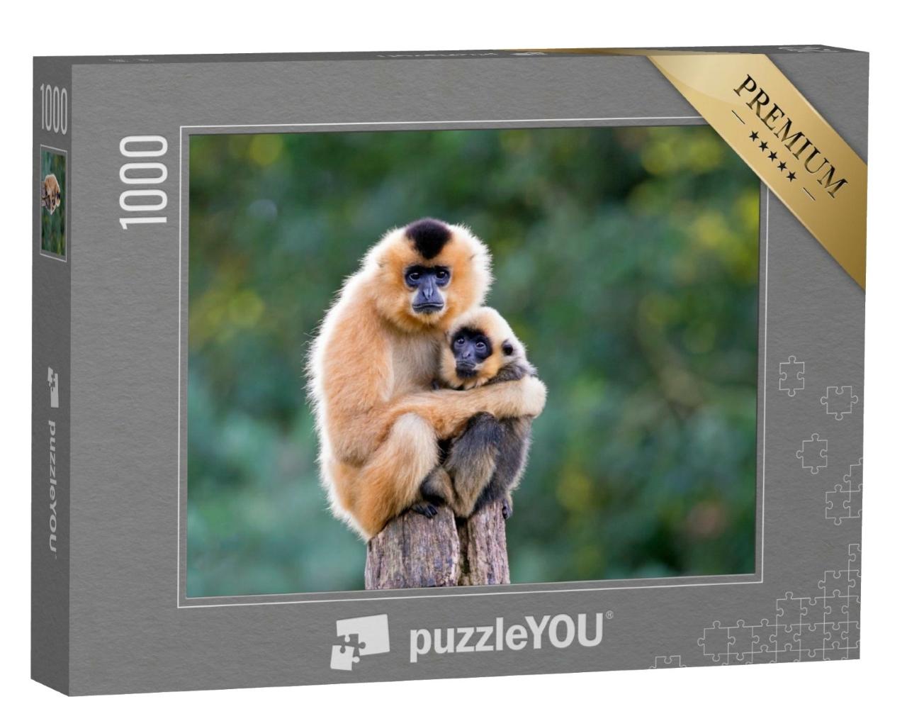 Puzzle de 1000 pièces « Un gibbon à joues jaunes »
