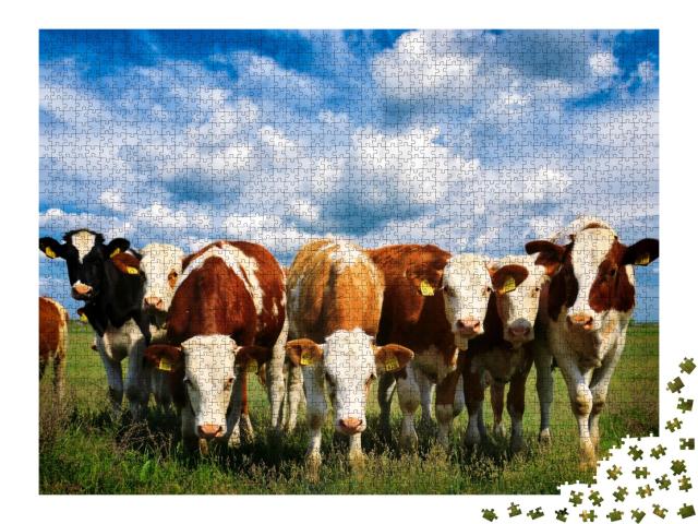 Puzzle de 2000 pièces « Vaches dans une verte prairie d'été »