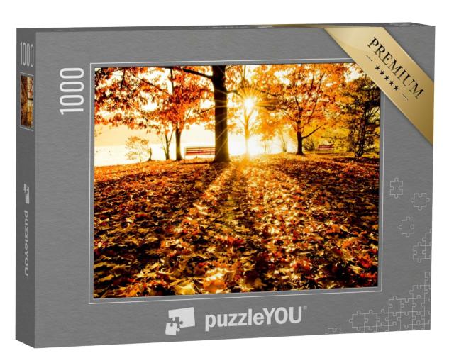 Puzzle de 1000 pièces « Arbres d'automne et banc au bord de l'eau au soleil couchant »