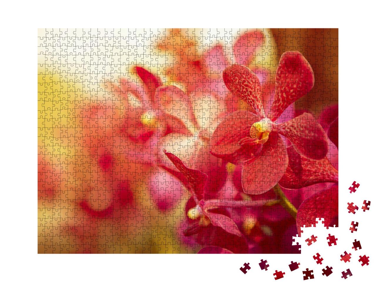 Puzzle de 1000 pièces « Magnifique orchidée dans la lumière du soir »
