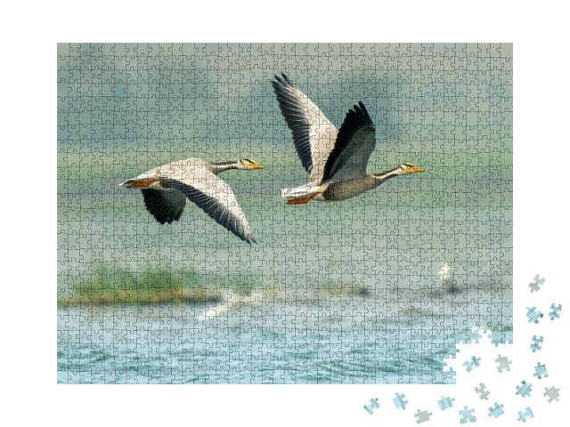 Puzzle de 1000 pièces « Oies blanches au-dessus des lacs de Bhigwan, Inde »