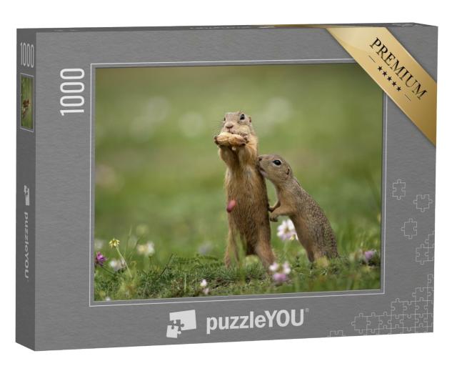 Puzzle de 1000 pièces « Écureuil terrestre à proximité, dans une prairie d'été avec de l'herbe »