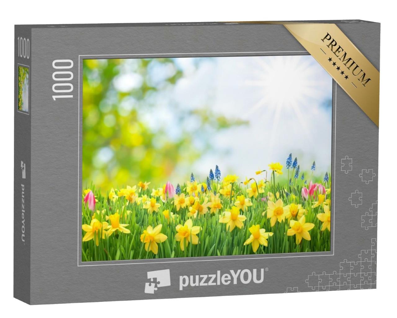 Puzzle de 1000 pièces « Prairie pleine de narcisses en fleurs sous le soleil printanier »