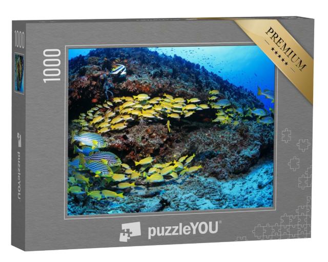 Puzzle de 1000 pièces « Récif de corail avec des poissons multicolores dans l'océan Indien »