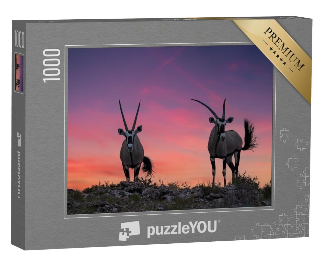 Puzzle de 1000 pièces « Deux grandes antilopes aux cornes spectaculaires, Kalahari »
