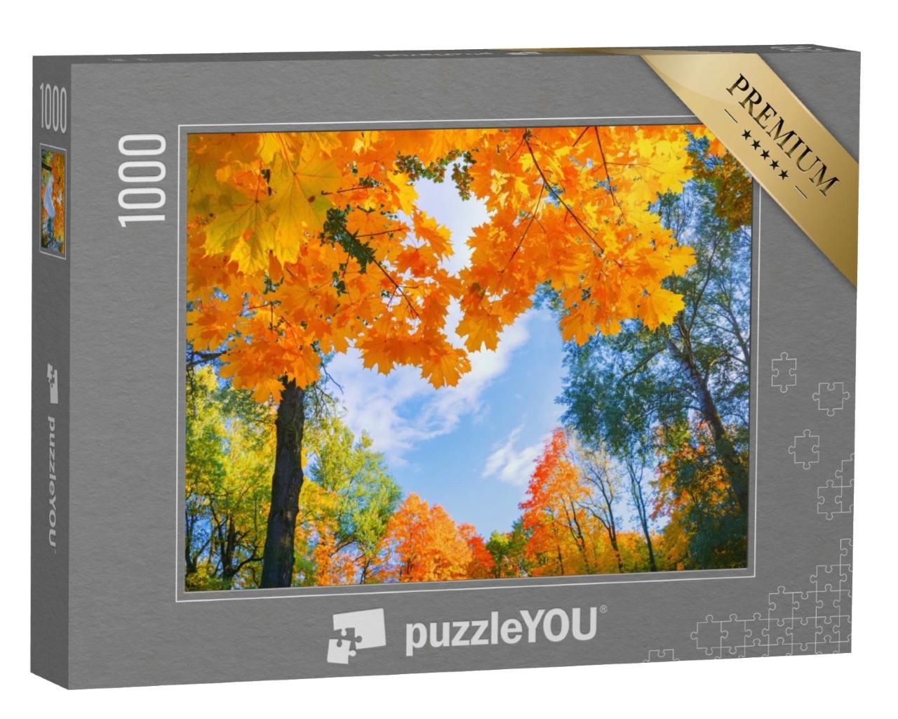 Puzzle de 1000 pièces « Feuilles dorées en automne »
