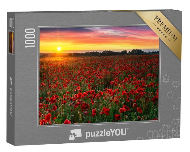 Puzzle de 1000 pièces « Beau champ de coquelicots au lever du soleil »