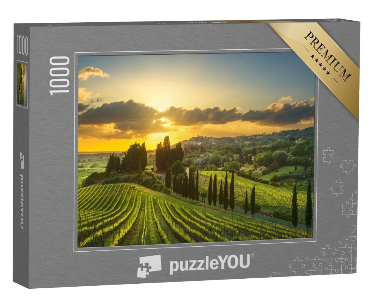 Puzzle de 1000 pièces « Vignobles et paysages de la Maremme, Italie »