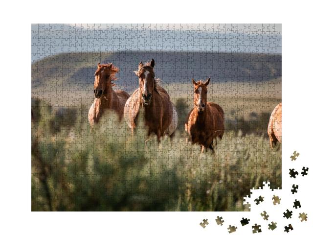 Puzzle de 1000 pièces « Magnifique ranch américain de chevaux Quarter Horse, Wyoming »