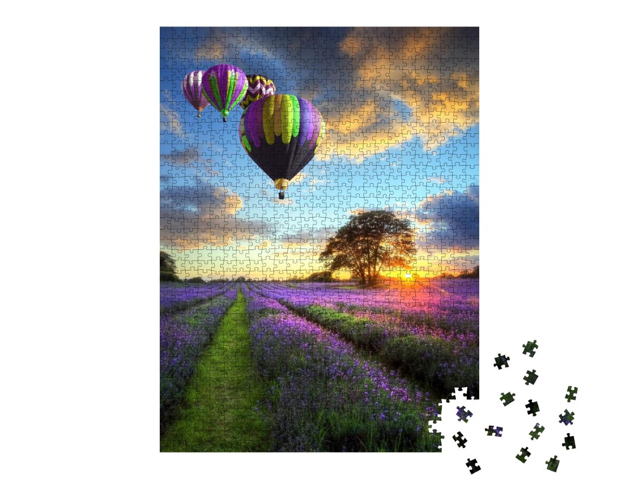 Puzzle de 1000 pièces « Montgolfières au-dessus d'un champ de lavande dans la lumière du soir »
