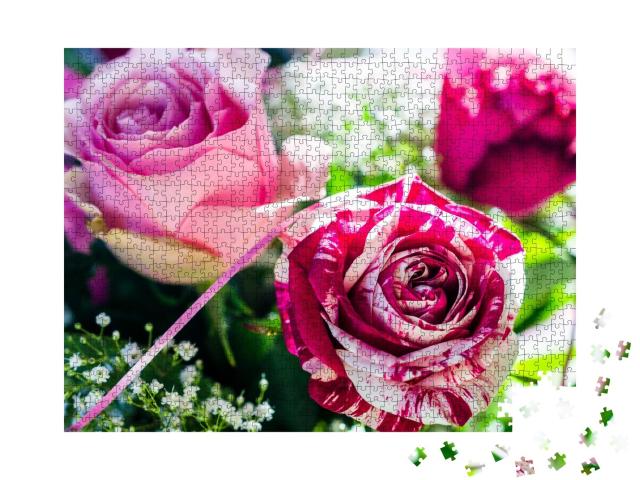 Puzzle de 1000 pièces « Abracadabra, un rosier floribunda romantique aux fleurs magnifiques »